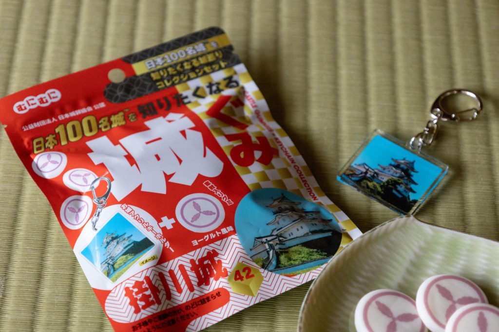【掛川城】クセになる食感！ 城ぐみ 販売